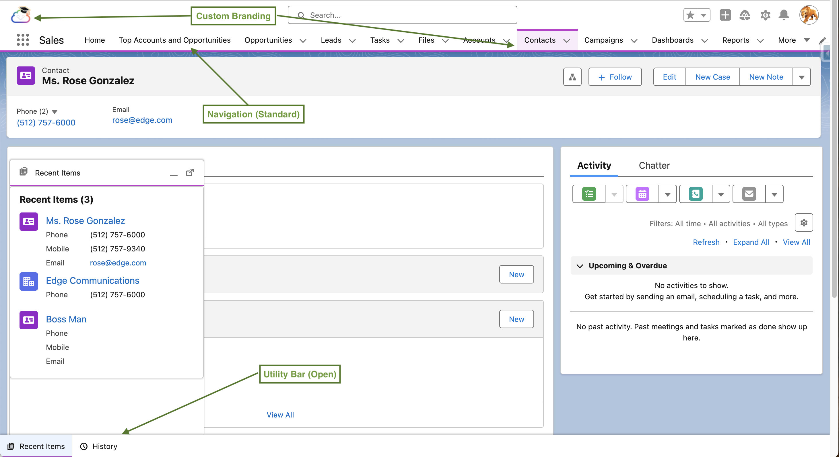 Salesforce Lightning App Image