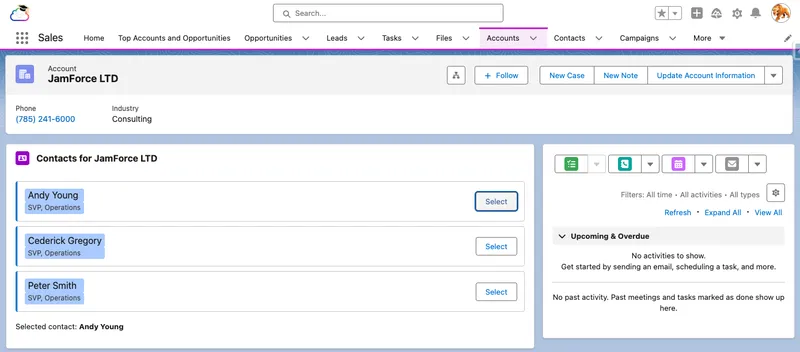 The deployed Account Contact Explorer on an Account record page: a card of contact tiles, each with a blue left accent and a light-blue highlight behind its name and title, and a plain 'Selected contact' line below after clicking Select.