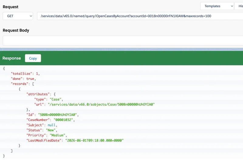 Executing a named query via the REST API in an API client