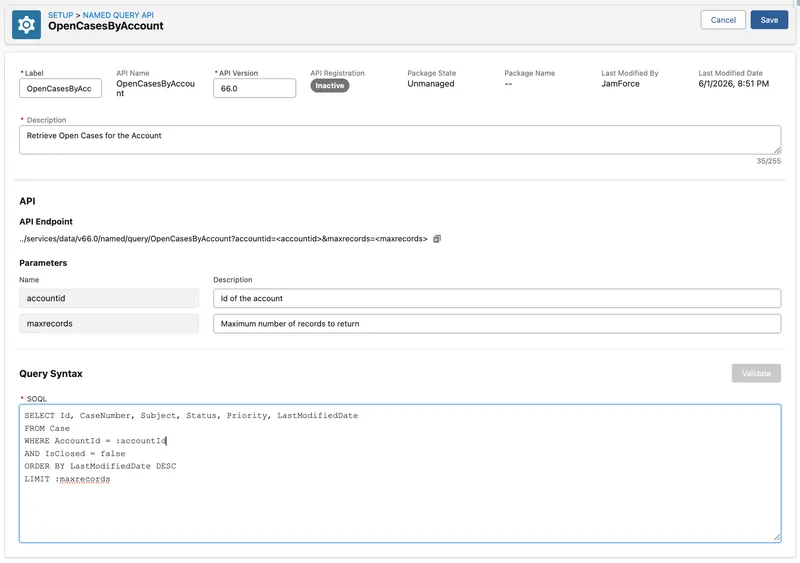 Creating a named query definition in Setup