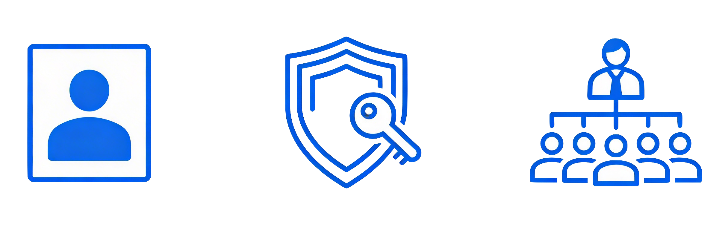 Profiles, Permission Sets, and Roles Image