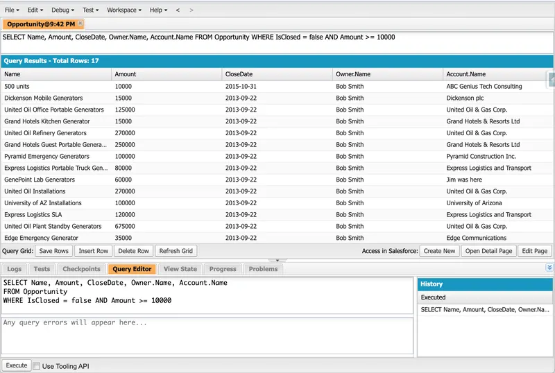 SOQL query results showing open opportunities with amount, close date, owner, and account fields