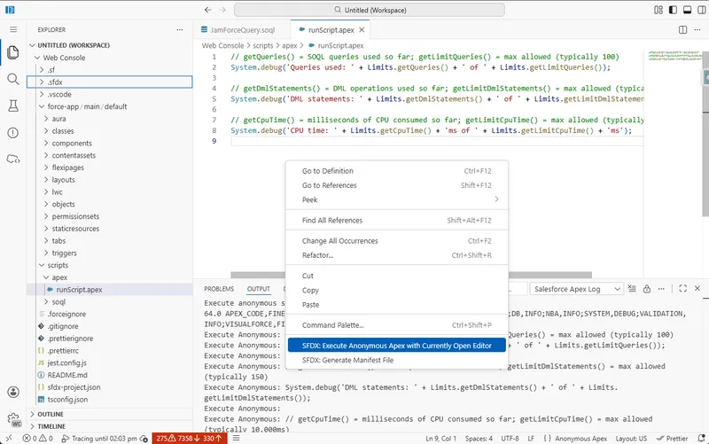Salesforce Web Console anonymous Apex